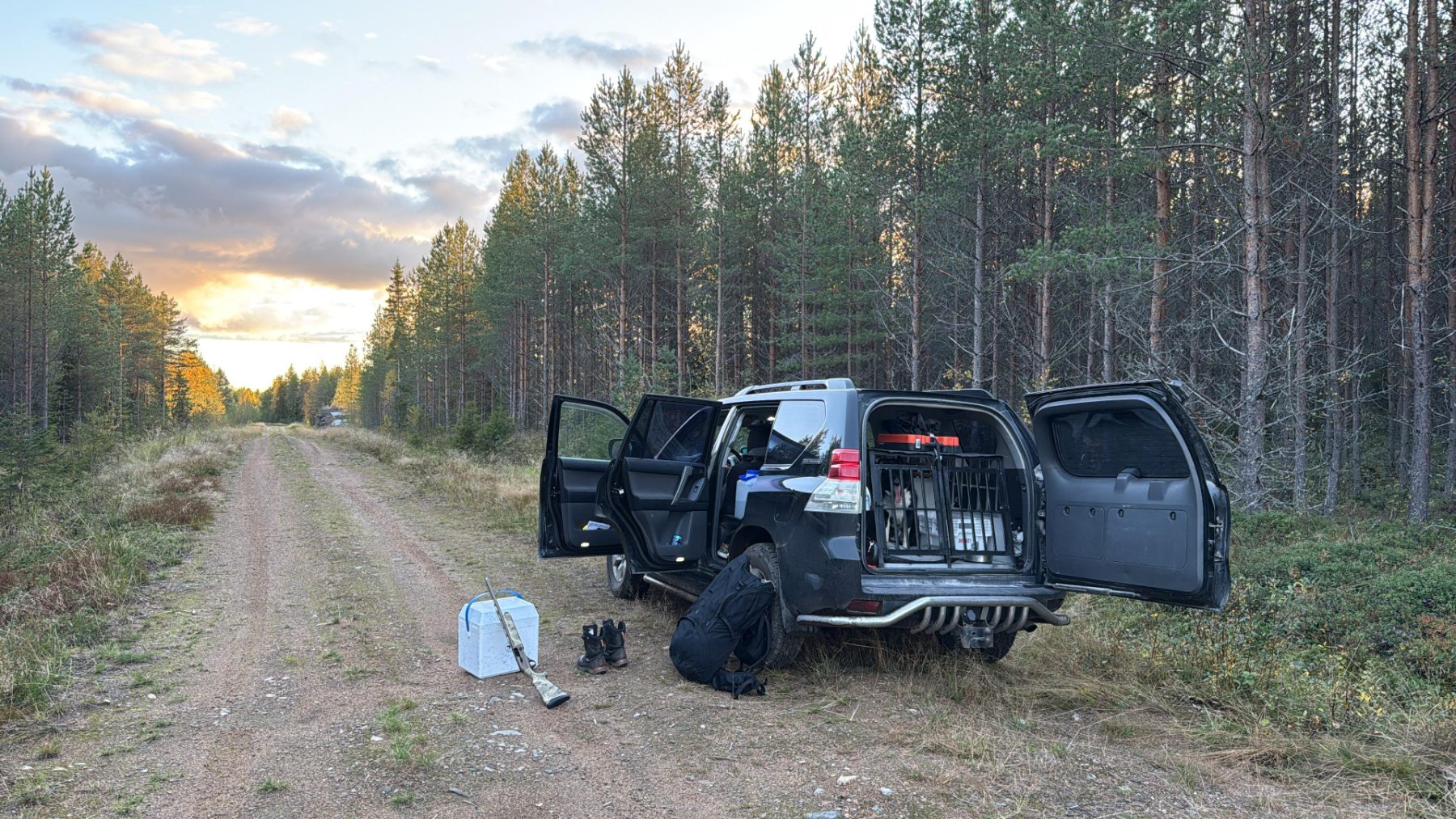 Auto metsätiellä syysaamun valossa