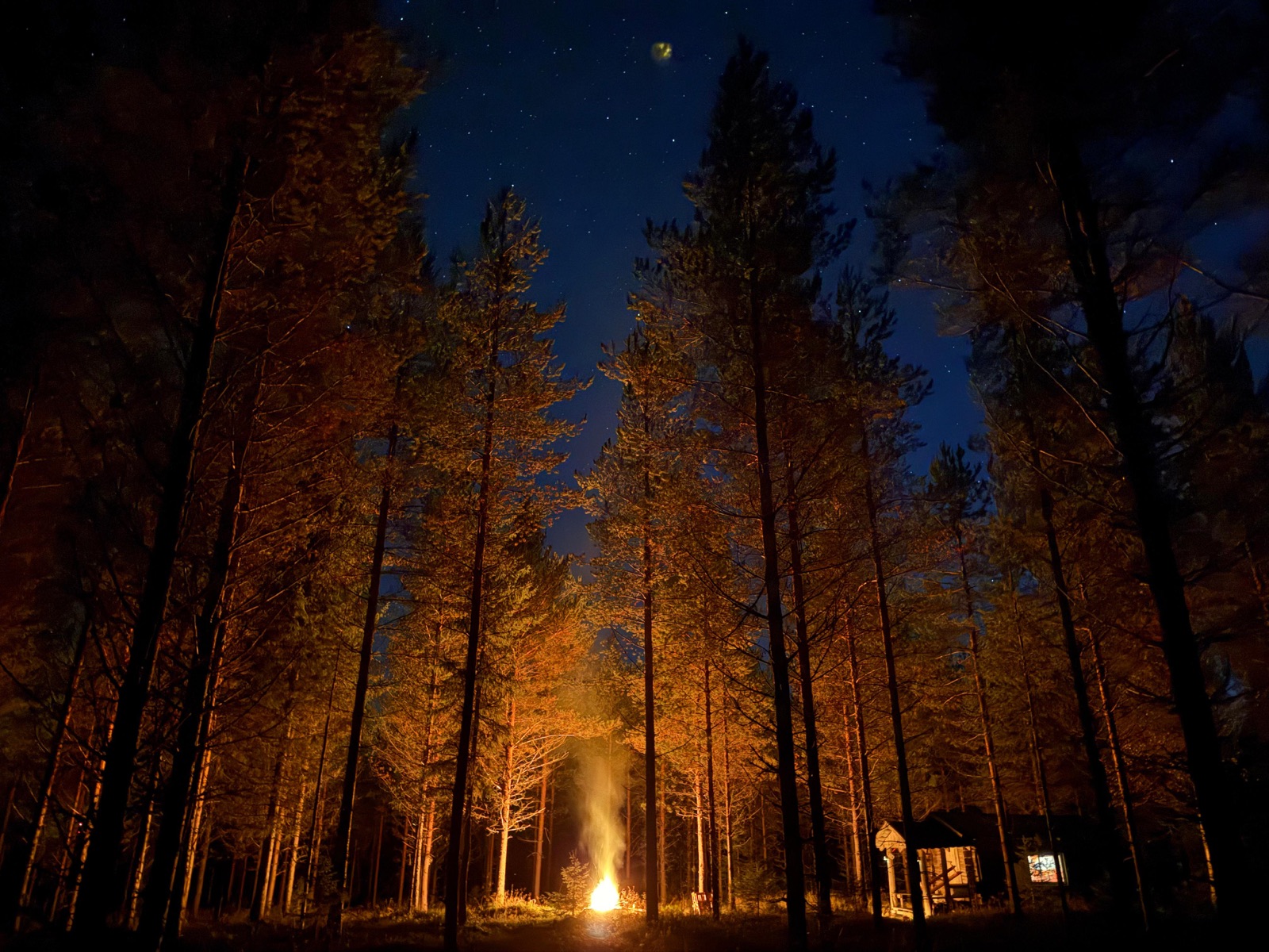 Nuotio palaa yöllä tähtitaivaan alla männikössä, taustalla valaistu erämökki