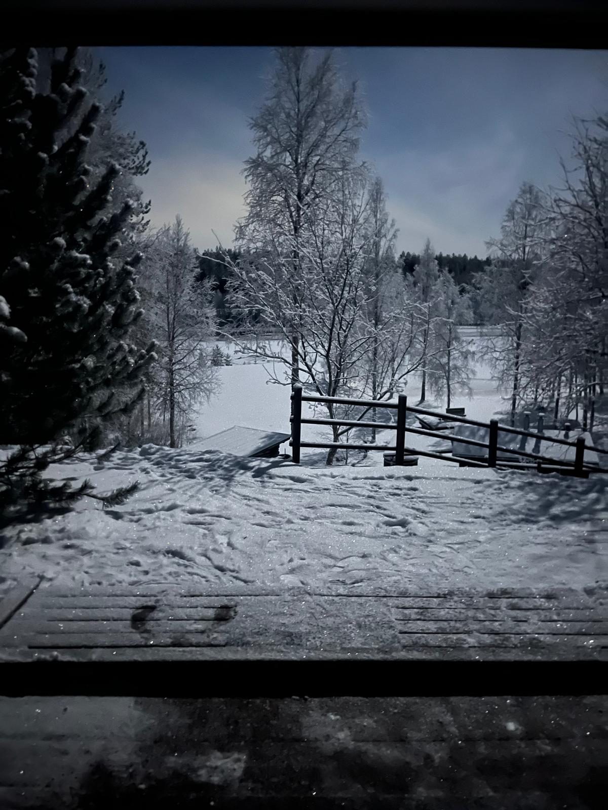 Luminen riukuaita metsänreunassa
