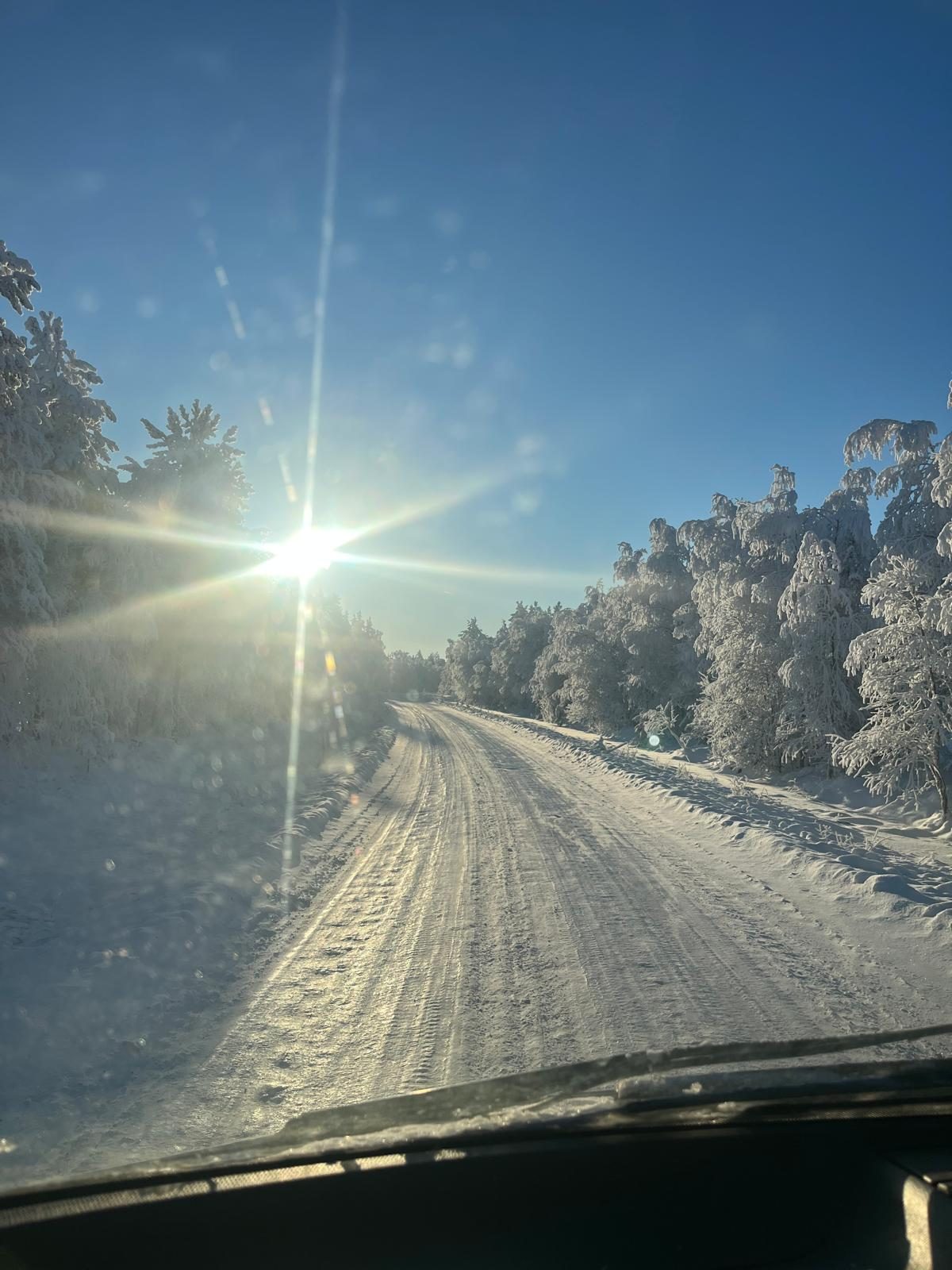 Aurinko paistaa lumisen metsätien yllä
